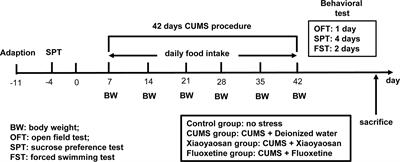 Effects of Xiaoyaosan on Depressive-Like Behaviors in Rats With Chronic Unpredictable Mild Stress Through HPA Axis Induced Astrocytic Activities